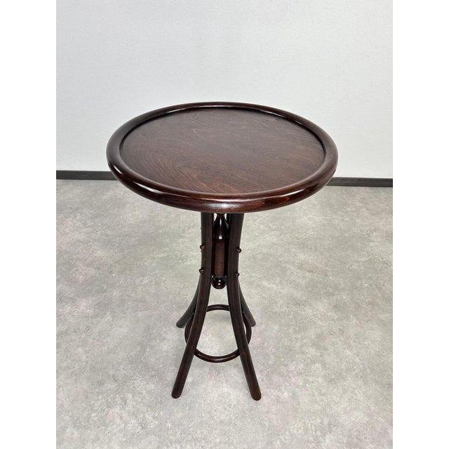 1920s Bentwood Plant Stand from Thonet, 1920s For Sale - Image 5 of 9