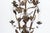 19th Century Ornate Antique French Gold Gilt Altar Lamp For Sale In Los Angeles - Image 6 of 9