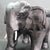 Black 1970s Carved Solid Wood Black Indian Elephant Footstool With Cushion For Sale - Image 8 of 12
