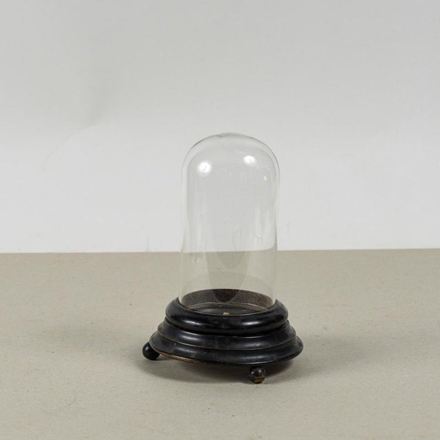 Black 19th Century Ebony-Colored Bell-Shaped Relic Case For Sale - Image 8 of 9