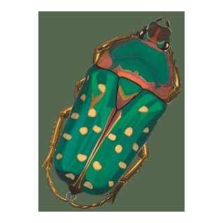 Bugs by Seguy #28 For Sale