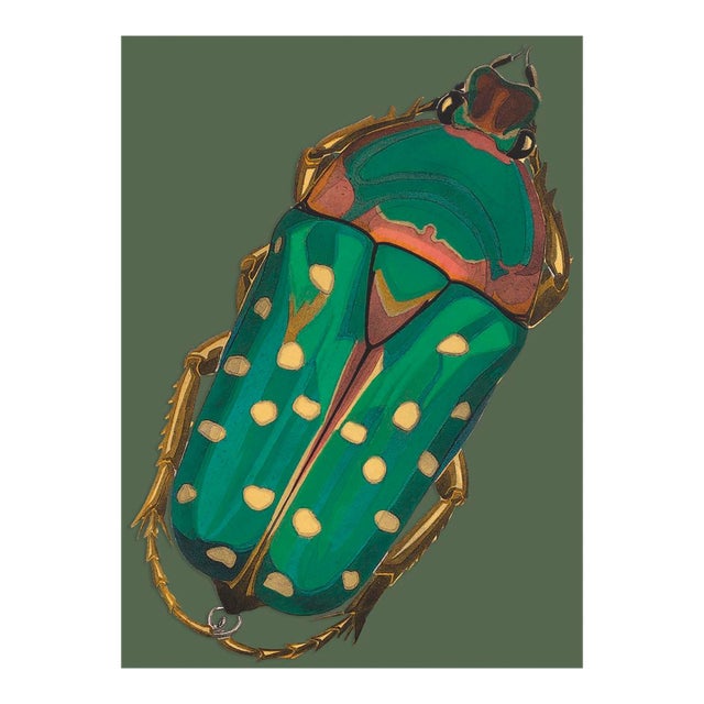 Bugs by Seguy #28 For Sale