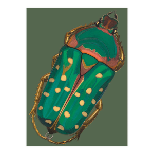 Bugs by Seguy #28