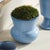 Kenneth Ludwig Chicago Delaney Pot Large For Sale - Image 4 of 6