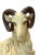 Ceramic Vintage Mid Century, Hollywood Regency, Neo Classic, Ceramic Sculptural Ram For Sale - Image 7 of 7