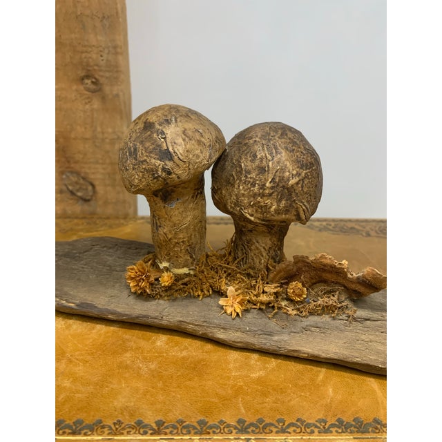 Pair of Late 19th Century French Folk Art Instructional Mushroom Specimens For Sale In Dallas - Image 6 of 11