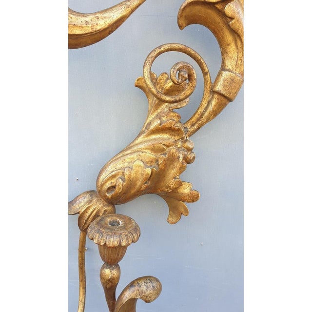 Large 19th Century Sculpted Gilded Wood Wall Light, Tuscany, Italy For Sale - Image 11 of 14