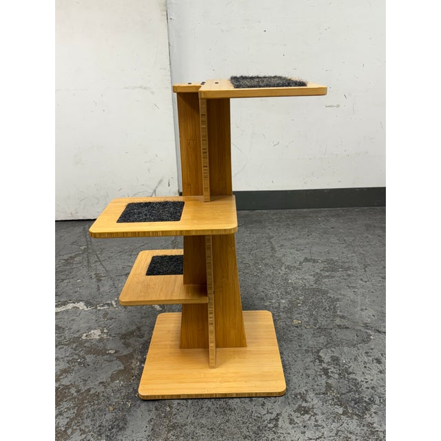 Square Cat Habitat Acacia Cat Tree Modern Cat Tower | Chairish