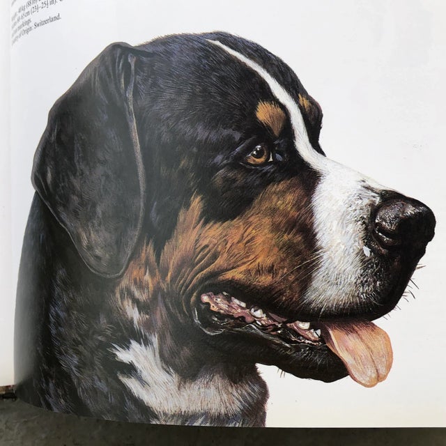 Paper 1980s Dogs of the World by Maurizio Bongianni & Concetta Mori For Sale - Image 7 of 13