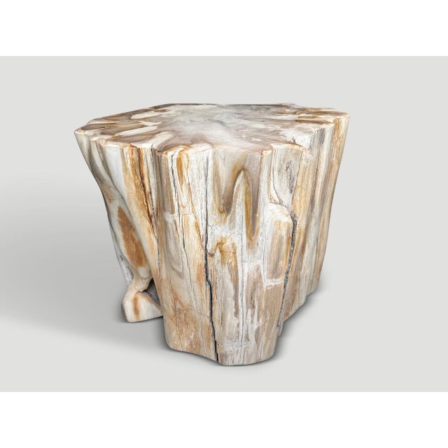 Andrianna Shamaris Impressive High Quality Ancient Petrified Wood Side Table For Sale - Image 4 of 5