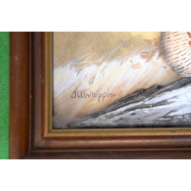 Traditional Hand Painted Bob White Quail Composition Relief Sculpture & Landscape by Joseph Q. Whipple (Signed & Dated 10/84) For Sale - Image 3 of 5