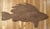 Handmade Deep Sea Fishing Wood Sign For Sale - Image 9 of 11