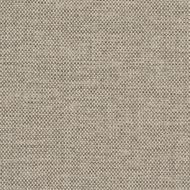 Contemporary SAMPLE - Schumacher Brock Indoor/Outdoor Fabric In Brown For Sale - Image 3 of 3