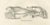 Paper Seals and Elephant Seals in Arctic and Marine Habitat, 1836, Lithograph For Sale - Image 7 of 10