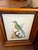 Pair Antique Original George Edwards Bird Prints, Framed For Sale - Image 9 of 15