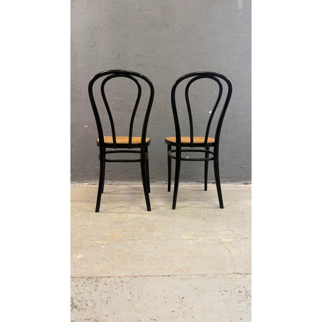 Mid-Century Modern Bentwood Vienna Straw Seats, 1960s, Poland, Set of 2 For Sale - Image 3 of 12