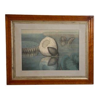 19th Century William Sharp Water Lily Color Lithograph For Sale