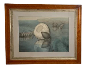 19th Century William Sharp Water Lily Color Lithograph