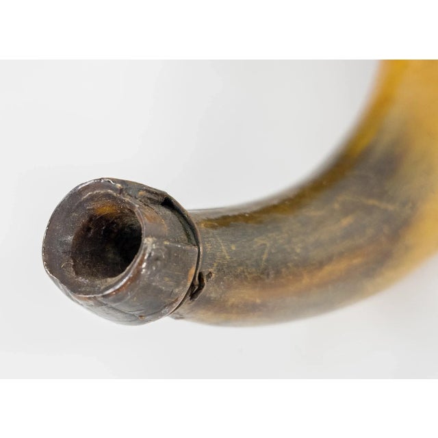 Brown Early 19th Century Carved Scrimshaw English Hunting Powder Horn With Fox For Sale - Image 8 of 10