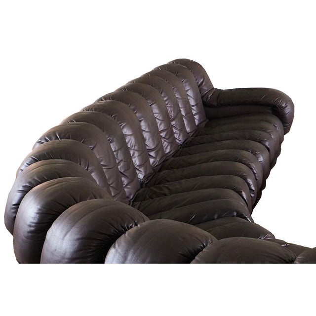 Mid-Century Modern Vintage Modular Brown Leather Snake Sofa Ds600 Attributed to Elenora Peduzzi for De Sede, 1970s For Sale - Image 3 of 10