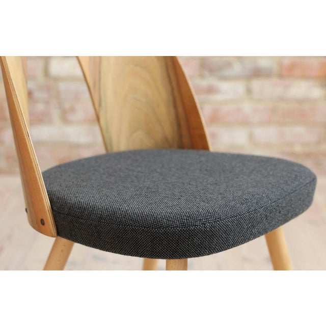 Mid-Century Modern Dining Chairs by A. Šuman, 1960s, Set of 14 For Sale - Image 15 of 18