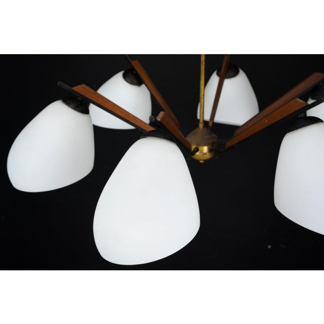 Mid-Century Modern Italian Chandelier in the style of Stilnovo, 1950s For Sale - Image 15 of 18