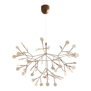 Heracleum II Pendant by Bertjan Pot for Moooi For Sale
