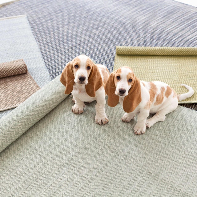 Dash & Albert Dash & Albert by Annie Selke Herringbone Ocean Woven Cotton Rug, 8' x 10' For Sale - Image 4 of 6