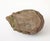 Reconstituted Stone Hedgehog Garden Ornament, 20th Century For Sale - Image 10 of 10
