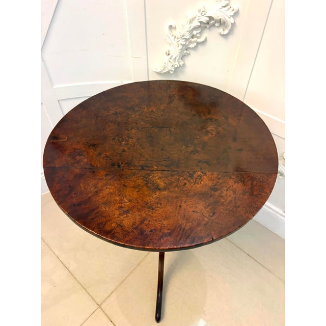 Antique Georgian Burr Oak Tripod Tilt Top Occasional Table, 1780 For Sale - Image 6 of 14