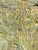 2010s Contemporary Artwork "Golden Light" High Texture Oil Colorfield Painting on Canvas Board by Cl Auker For Sale - Image 5 of 6