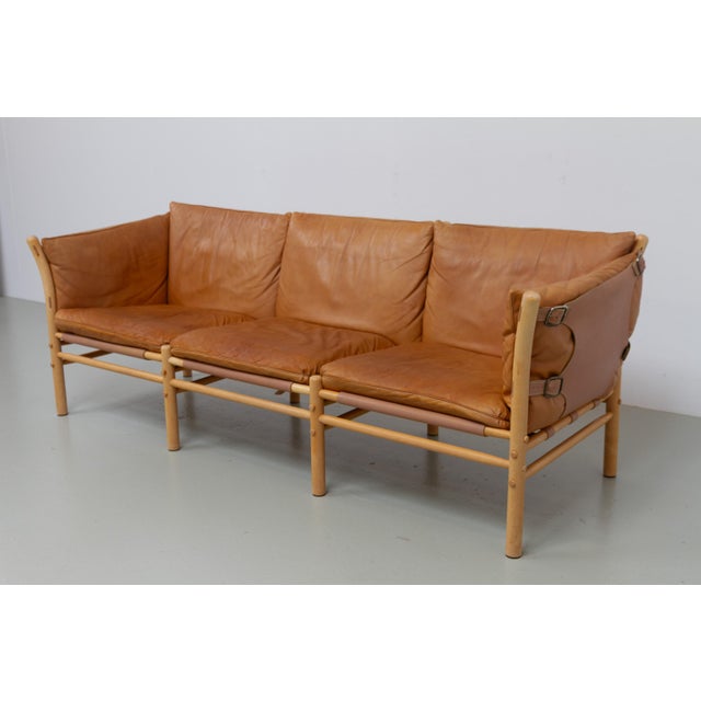 Three-Seater Ilona Safari Sofa in Leather by Arne Norell, Sweden, 1970s For Sale - Image 17 of 18