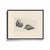 Antique Sea Shell Set of 9 - 11" X 14" Reproduction For Sale - Image 10 of 15