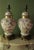 Schumann Arzberg Bavaria Briar Rose Porcelain Table Lamps For Sale - Image 9 of 10