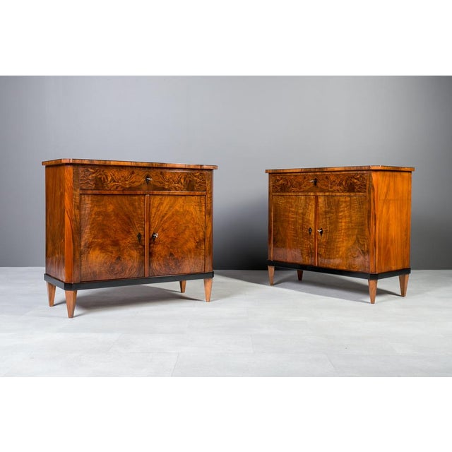 German Biedermeier Walnut Side Cabinets, Set of 2 For Sale - Image 3 of 18