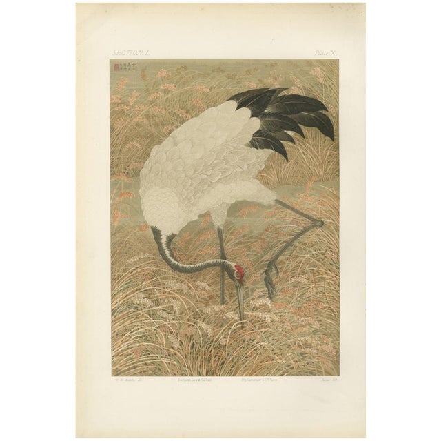 Serene Scene in Grassy Marsh, 1800s, Paper For Sale - Image 10 of 10