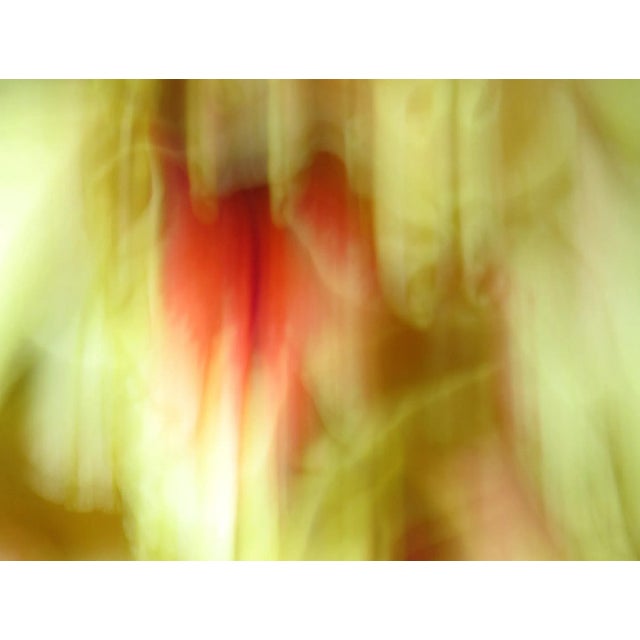 This large 40" x 30" abstract photographic print is by designer/artist/photographer Joseph Fountain, created in 2015. From...