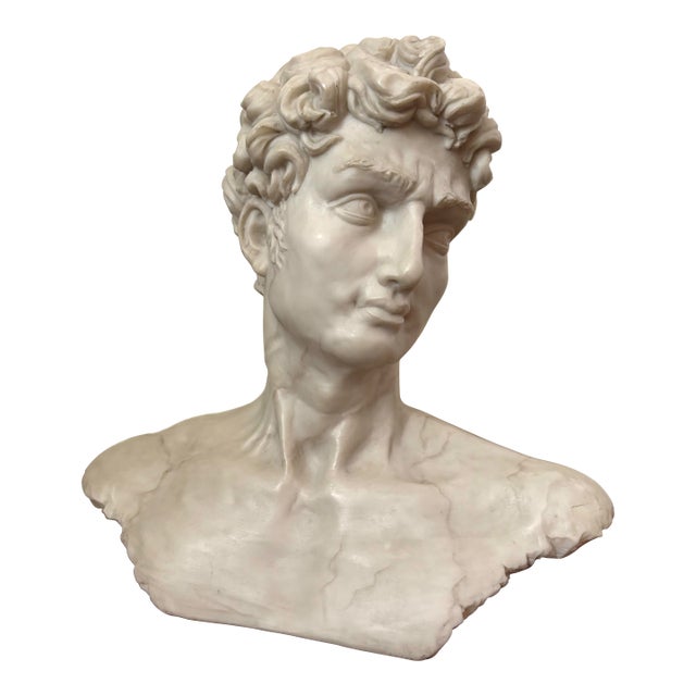 Late 20th Century Resin Michelangelo Bust of David For Sale