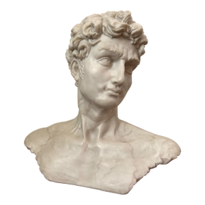 Late 20th Century Resin Michelangelo Bust of David
