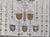 Handwoven Wool Tapestry by Eva Nemeth, 1970s For Sale - Image 3 of 11