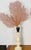 Elegant Natures Beauty installation of a beautiful sea whip branches in natural burnt orange mounted on alabaster antique...