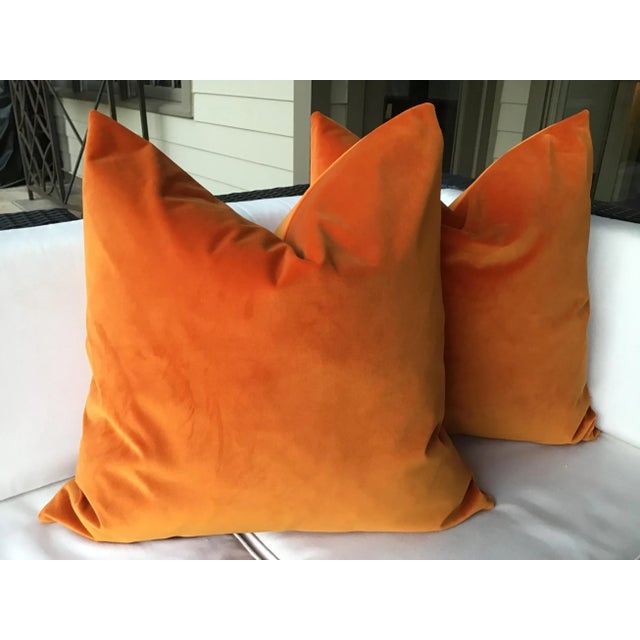 Tangerine Orange Velvet Plush Down Filled Pillows - a Pair, 21” For Sale - Image 4 of 4