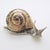 Vintage Italian Handmade Silver and Brass Snail, Tuscany, Italy, 1980s For Sale - Image 4 of 12