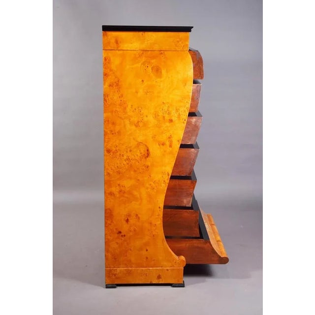 20th Century Vienna Biedermeier Chiffoniere Commode in the style of Josef Danhauser For Sale - Image 4 of 11