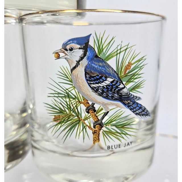 Birdwatchers Songbird Lowball Glasses- Set of Six For Sale - Image 4 of 12