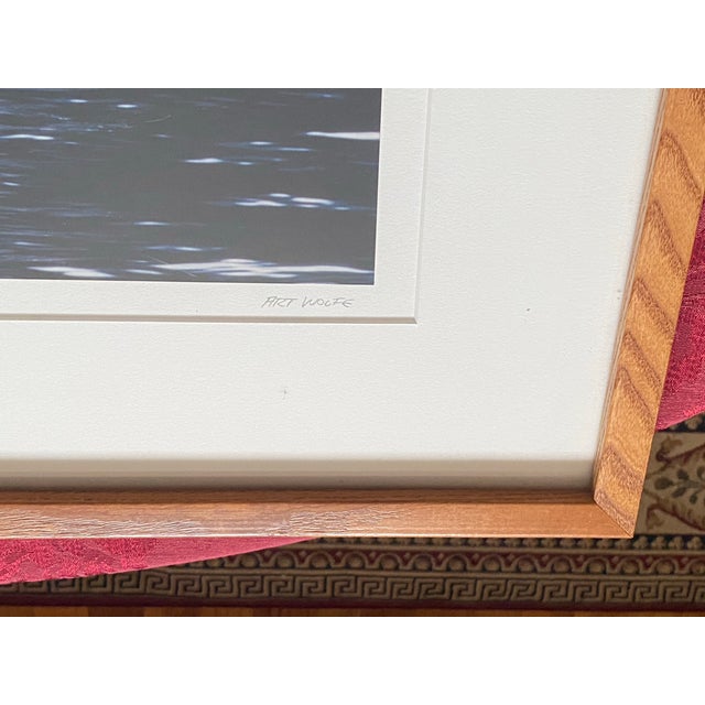 1990s Art Wolfe Signed Limited Edition 9/250 Photograph Orcas Sierra Club Oak Frame For Sale In Boston - Image 6 of 9
