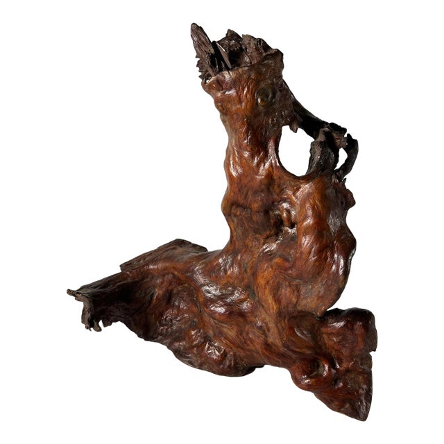 Mid 20th Century Tree Root Sculpture For Sale