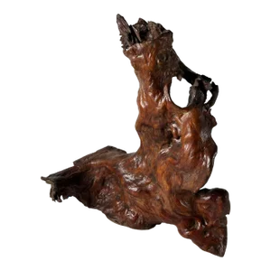 Mid 20th Century Tree Root Sculpture