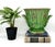 Handsome vintage Italian terracotta planter by Vietri, finished in a rich verde green glaze with a beautifully weathered,...