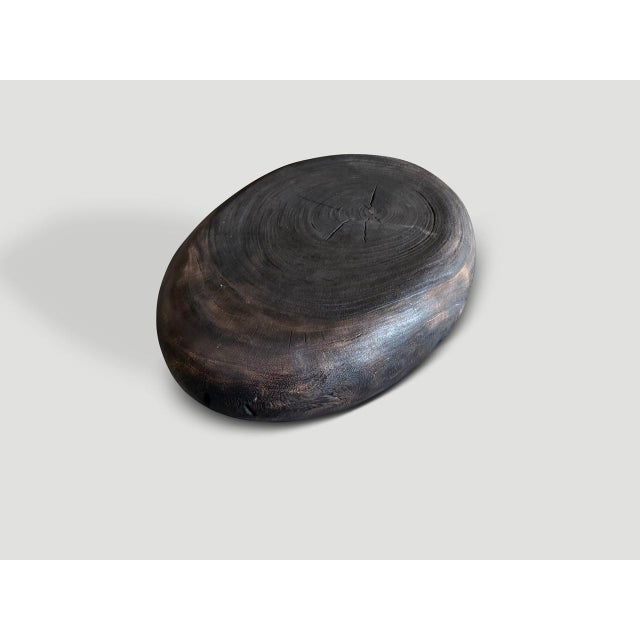 2010s Andrianna Shamaris Pebble Style Charred Coffee Table For Sale - Image 5 of 6